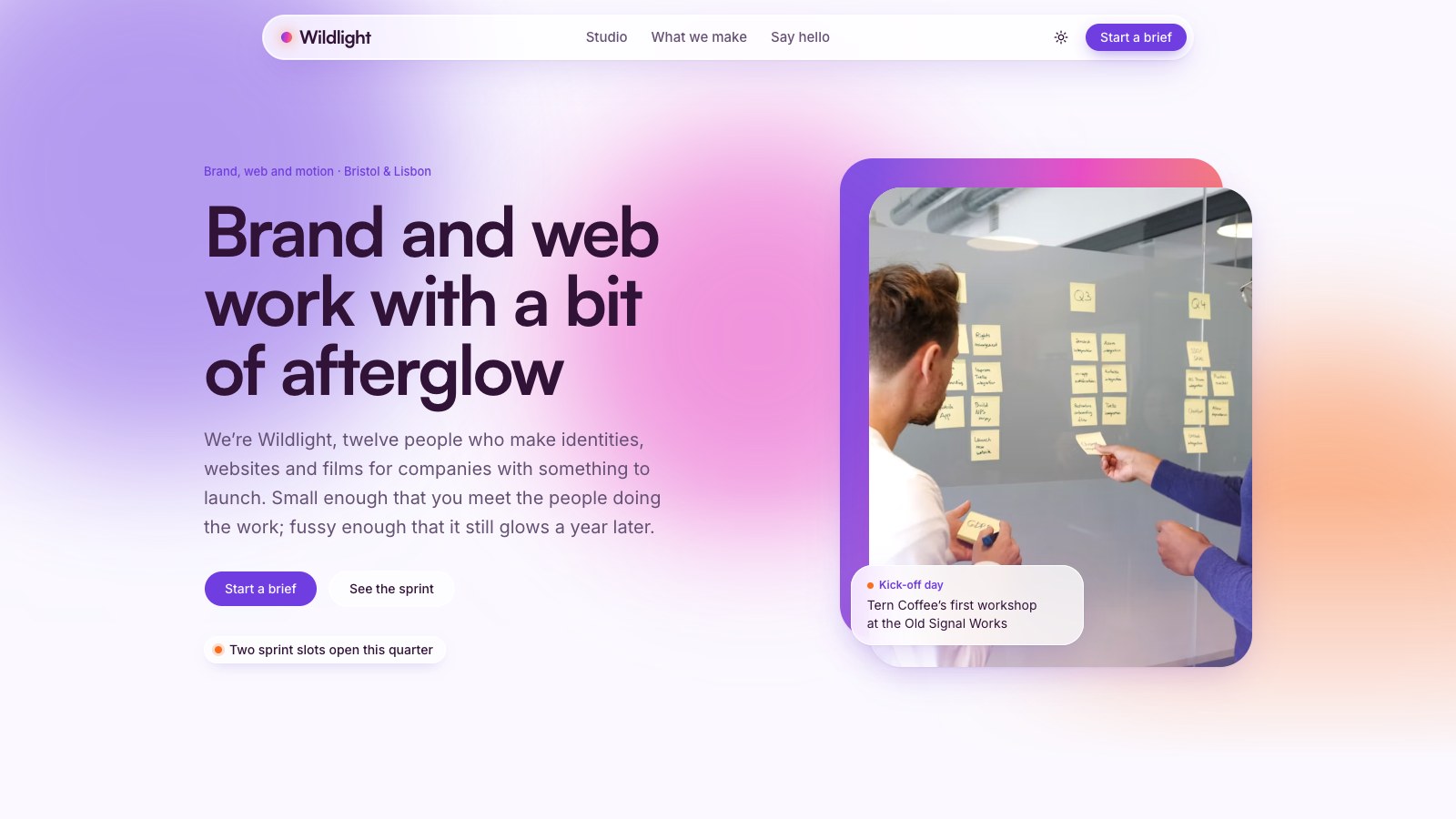 Wildlight screenshot 1