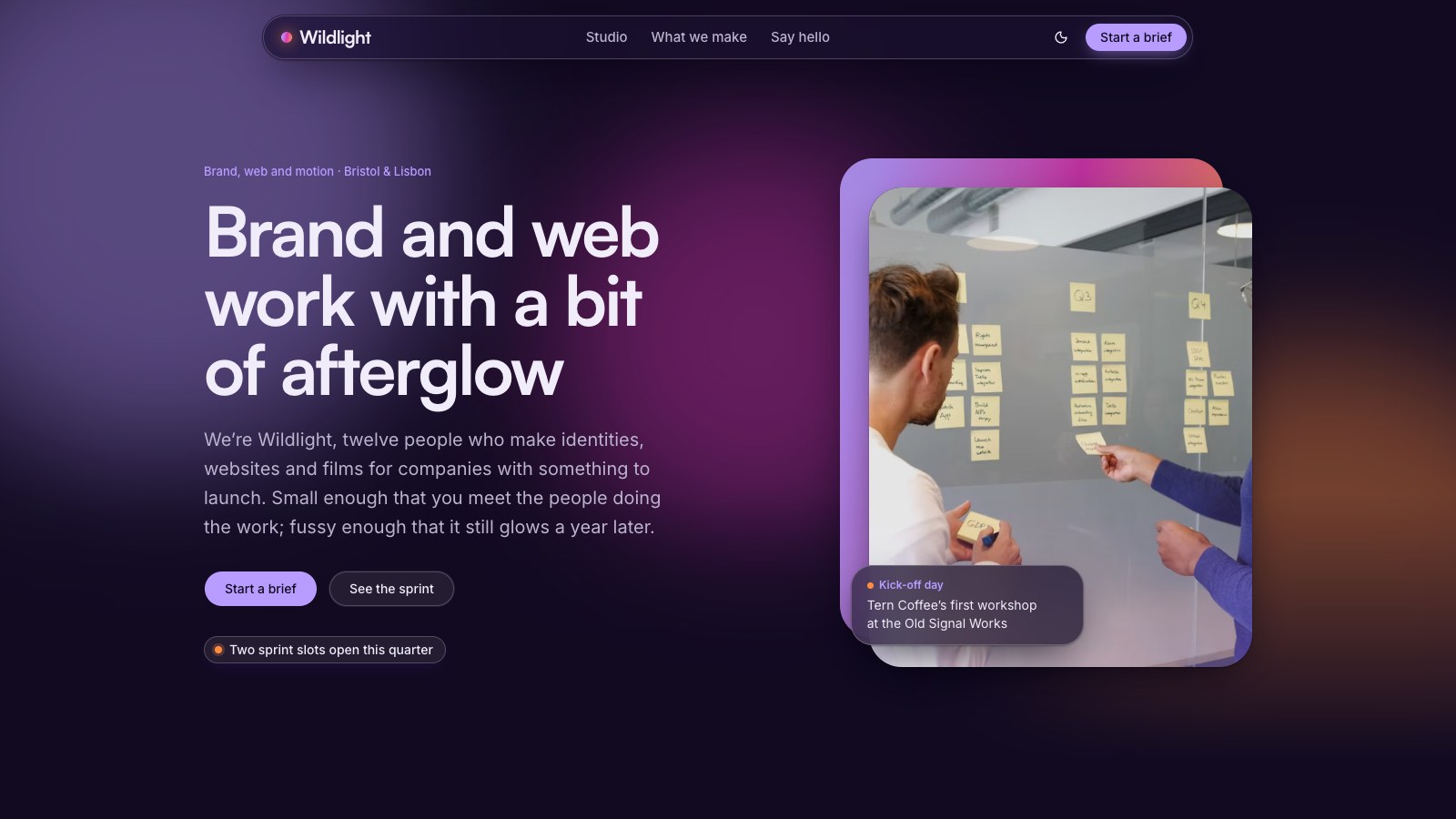Wildlight screenshot 2